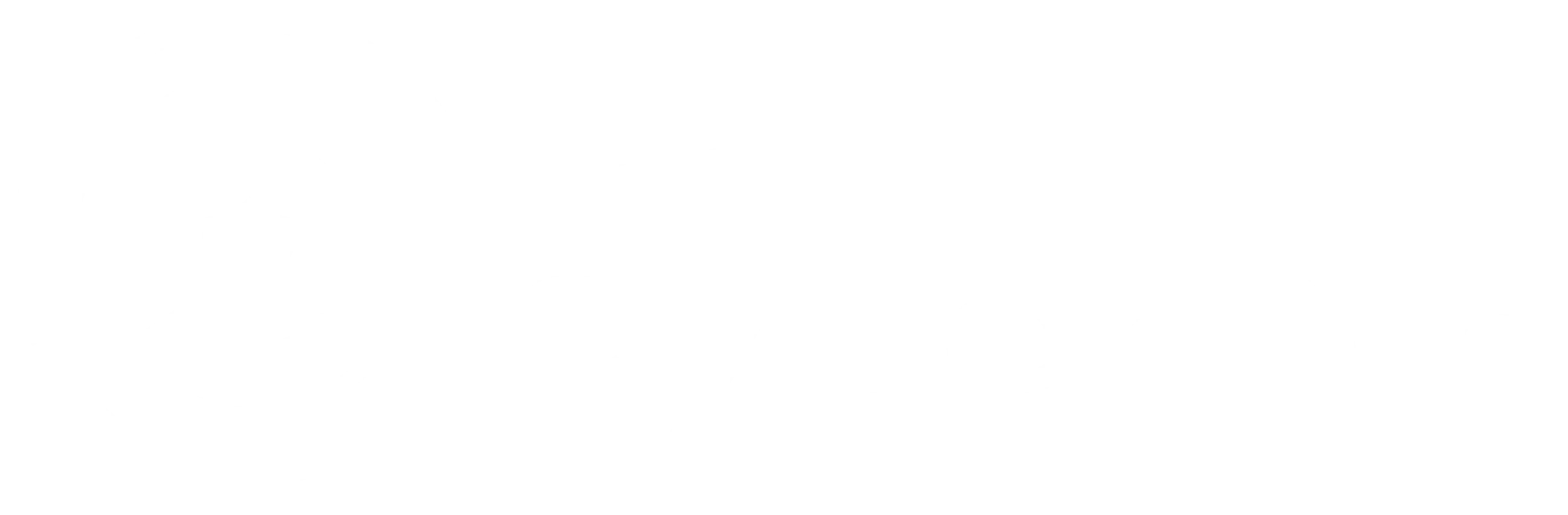 The CyberBin